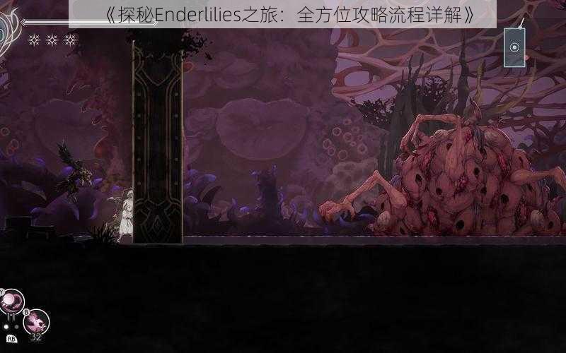 《探秘Enderlilies之旅：全方位攻略流程详解》