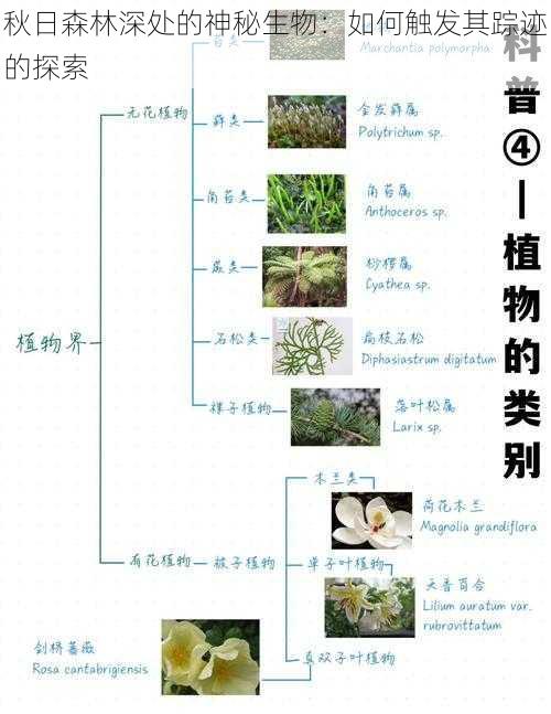 秋日森林深处的神秘生物：如何触发其踪迹的探索