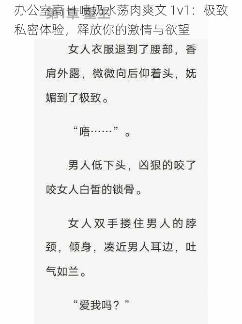 办公室高 H 喷奶水荡肉爽文 1v1：极致私密体验，释放你的激情与欲望