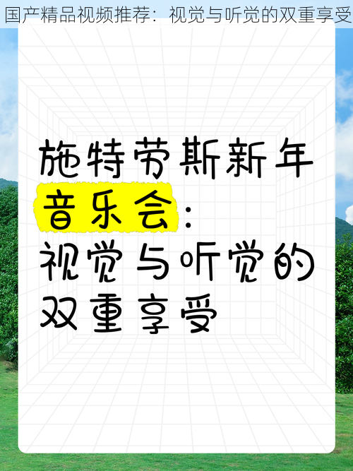 国产精品视频推荐：视觉与听觉的双重享受