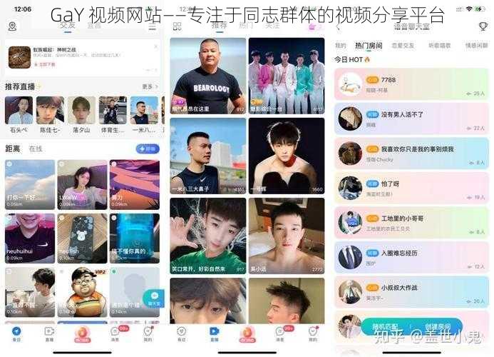 GaY 视频网站——专注于同志群体的视频分享平台