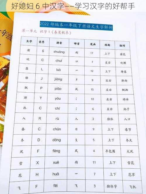 好媳妇 6 中汉字——学习汉字的好帮手