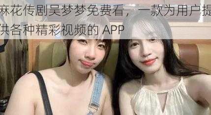 麻花传剧吴梦梦免费看，一款为用户提供各种精彩视频的 APP