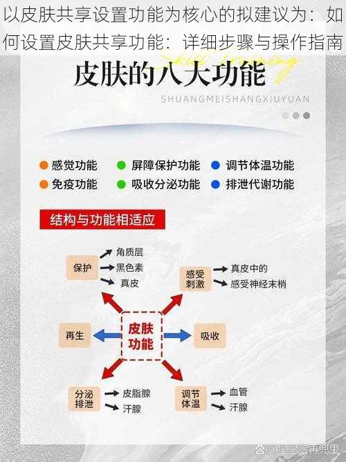 以皮肤共享设置功能为核心的拟建议为：如何设置皮肤共享功能：详细步骤与操作指南