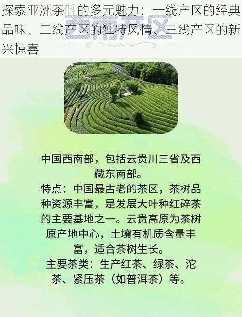 探索亚洲茶叶的多元魅力：一线产区的经典品味、二线产区的独特风情、三线产区的新兴惊喜