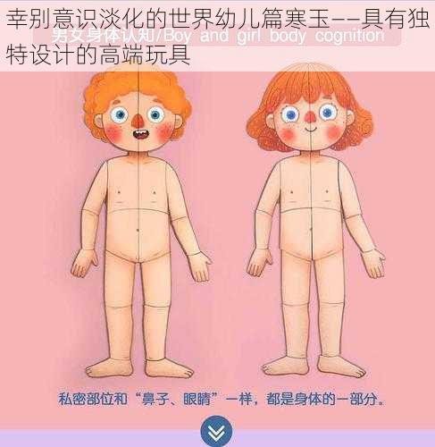 幸别意识淡化的世界幼儿篇寒玉——具有独特设计的高端玩具