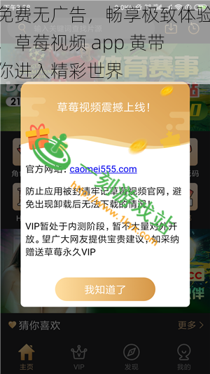 免费无广告，畅享极致体验，草莓视频 app 黄带你进入精彩世界