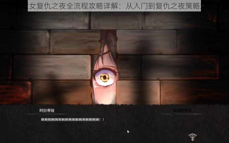 新魔女复仇之夜全流程攻略详解：从入门到复仇之夜策略解析