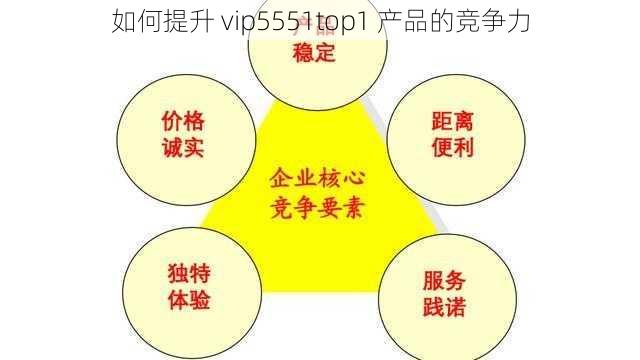 如何提升 vip5551top1 产品的竞争力