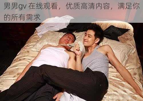 男男gv 在线观看，优质高清内容，满足你的所有需求