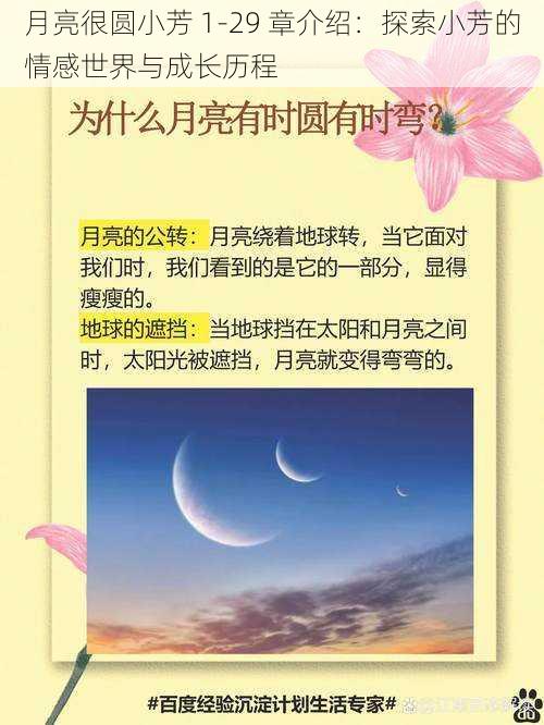 月亮很圆小芳 1-29 章介绍：探索小芳的情感世界与成长历程