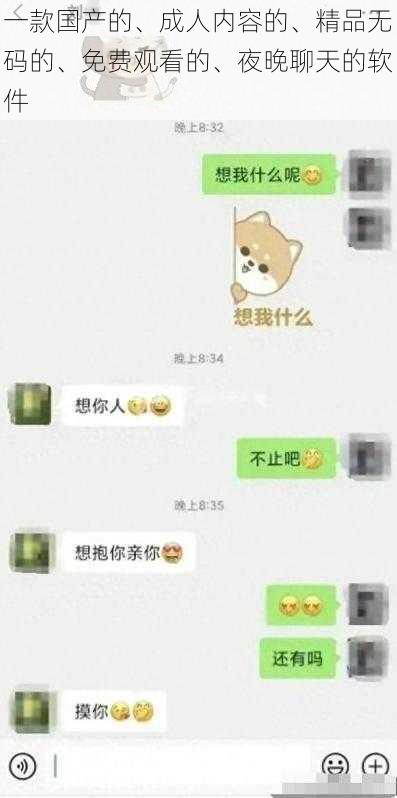 一款国产的、成人内容的、精品无码的、免费观看的、夜晚聊天的软件