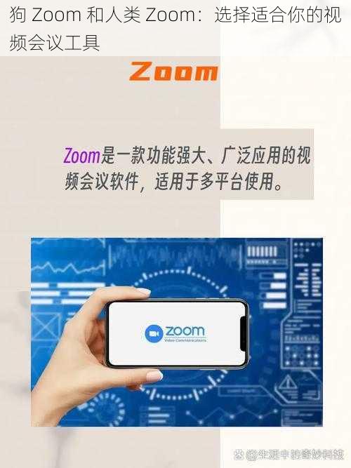 狗 Zoom 和人类 Zoom：选择适合你的视频会议工具