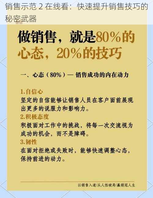 销售示范 2 在线看：快速提升销售技巧的秘密武器