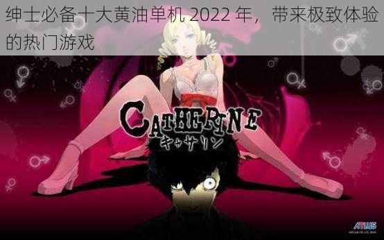 绅士必备十大黄油单机 2022 年，带来极致体验的热门游戏