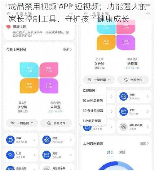 成品禁用视频 APP 短视频，功能强大的家长控制工具，守护孩子健康成长