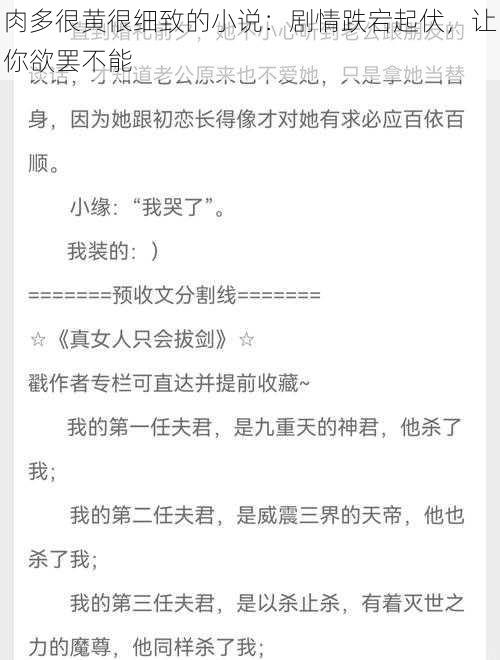 肉多很黄很细致的小说：剧情跌宕起伏，让你欲罢不能