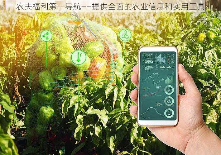 农夫福利第一导航——提供全面的农业信息和实用工具