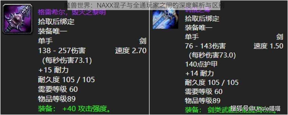 魔兽世界：NAXX混子与全通玩家之间的深度解析与区别