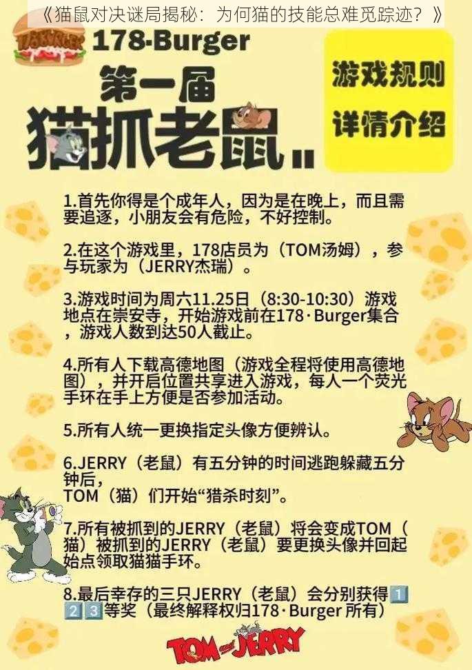 《猫鼠对决谜局揭秘：为何猫的技能总难觅踪迹？》