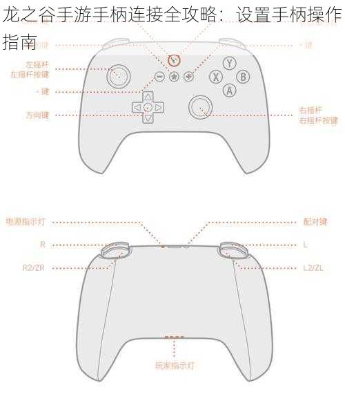 龙之谷手游手柄连接全攻略：设置手柄操作指南