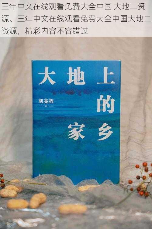 三年中文在线观看免费大全中国 大地二资源、三年中文在线观看免费大全中国大地二资源，精彩内容不容错过