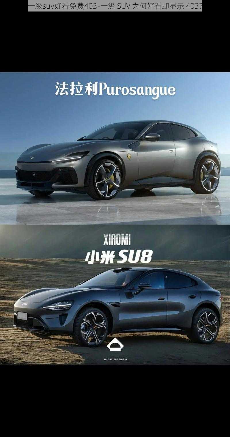 一级suv好看免费403-一级 SUV 为何好看却显示 403？