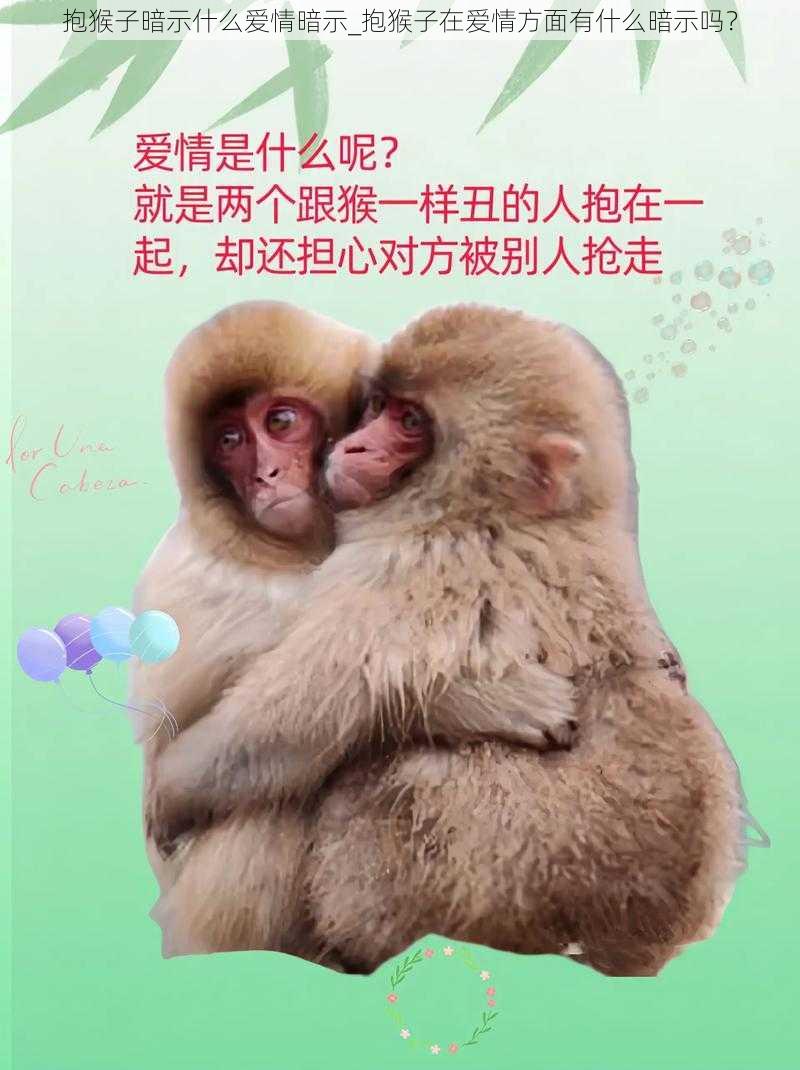 抱猴子暗示什么爱情暗示_抱猴子在爱情方面有什么暗示吗？