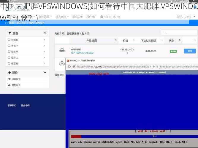 中国大肥胖VPSWINDOWS(如何看待中国大肥胖 VPSWINDOWS 现象？)