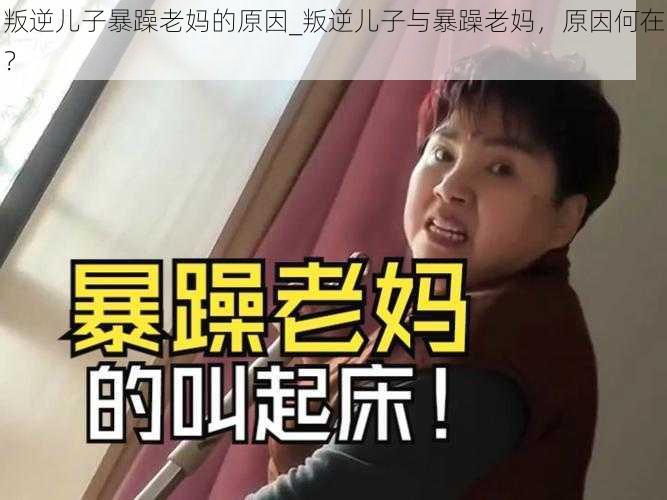 叛逆儿子暴躁老妈的原因_叛逆儿子与暴躁老妈，原因何在？