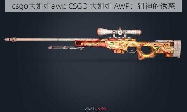 csgo大姐姐awp CSGO 大姐姐 AWP：狙神的诱惑