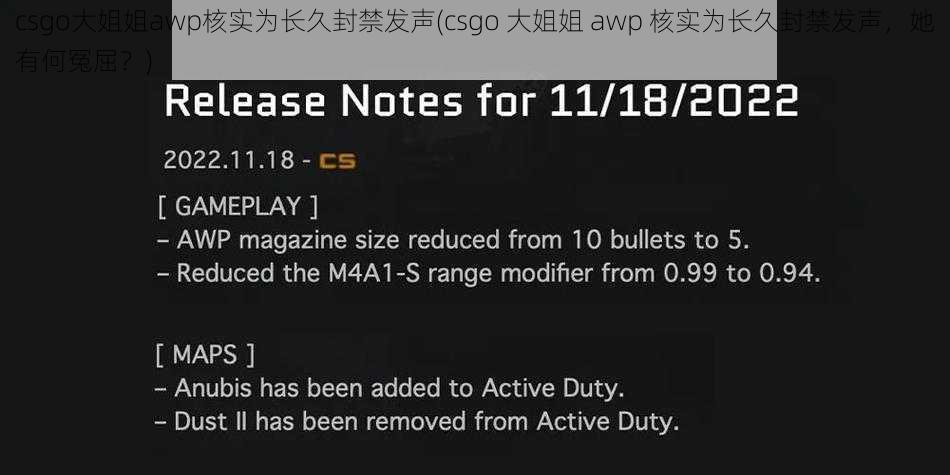 csgo大姐姐awp核实为长久封禁发声(csgo 大姐姐 awp 核实为长久封禁发声，她有何冤屈？)