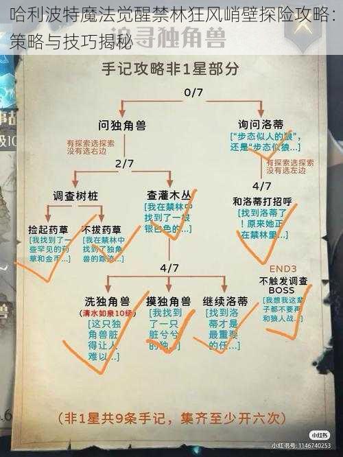 哈利波特魔法觉醒禁林狂风峭壁探险攻略：策略与技巧揭秘