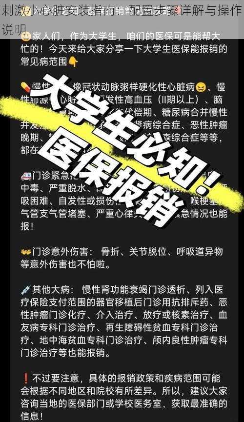 刺激小心脏安装指南：配置步骤详解与操作说明