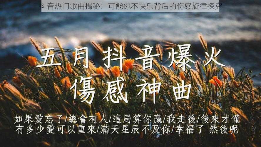 抖音热门歌曲揭秘：可能你不快乐背后的伤感旋律探究