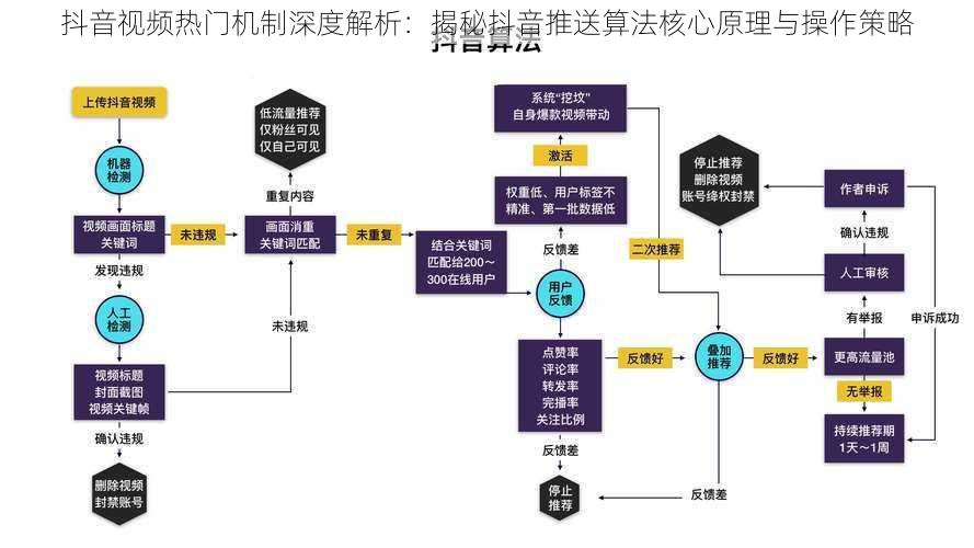 抖音视频热门机制深度解析：揭秘抖音推送算法核心原理与操作策略