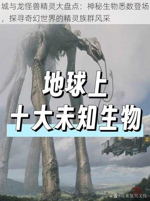 城与龙怪兽精灵大盘点：神秘生物悉数登场，探寻奇幻世界的精灵族群风采