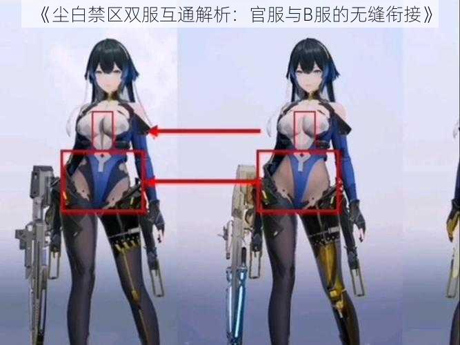 《尘白禁区双服互通解析：官服与B服的无缝衔接》