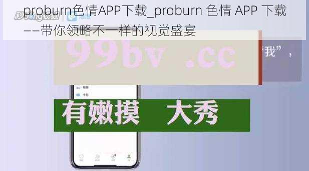 proburn色情APP下载_proburn 色情 APP 下载——带你领略不一样的视觉盛宴