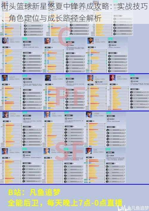 街头篮球新星悠夏中锋养成攻略：实战技巧、角色定位与成长路径全解析