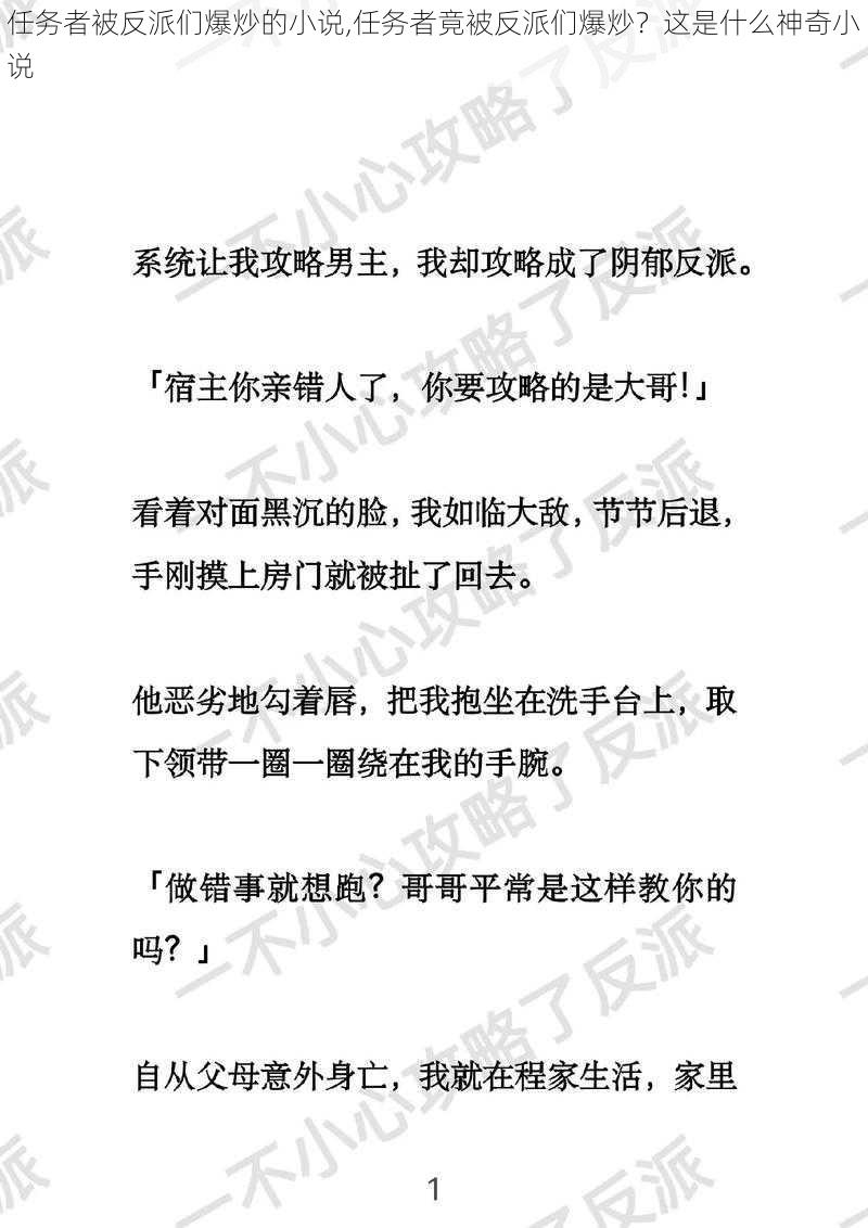 任务者被反派们爆炒的小说,任务者竟被反派们爆炒？这是什么神奇小说