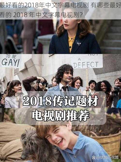 最好看的2018年中文字幕电视剧 有哪些最好看的 2018 年中文字幕电视剧？