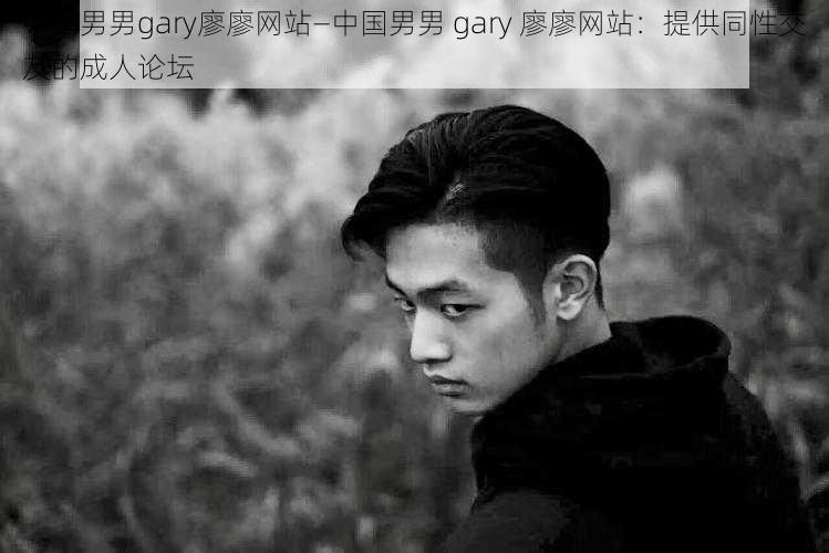 中国男男gary廖廖网站—中国男男 gary 廖廖网站：提供同性交友的成人论坛