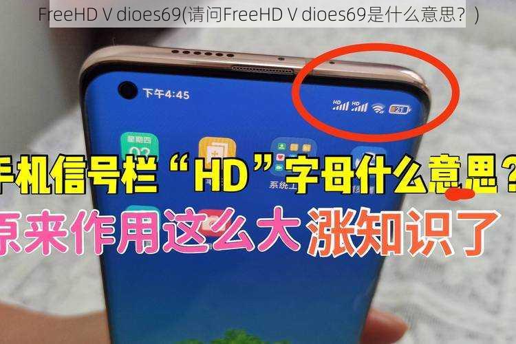 FreeHDⅤdioes69(请问FreeHDⅤdioes69是什么意思？)