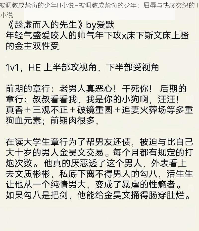 被调教成禁脔的少年H小说—被调教成禁脔的少年：屈辱与快感交织的 H 小说