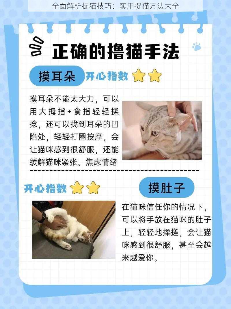 全面解析捉猫技巧：实用捉猫方法大全