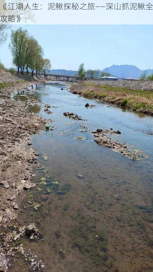 《江湖人生：泥鳅探秘之旅——深山抓泥鳅全攻略》