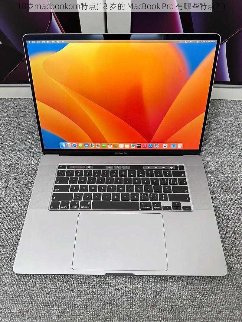 18岁macbookpro特点(18 岁的 MacBook Pro 有哪些特点？)