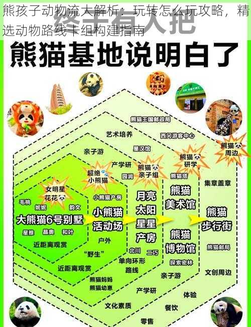 熊孩子动物流大解析：玩转怎么玩攻略，精选动物路线卡组构建指南