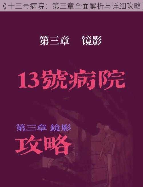 《十三号病院：第三章全面解析与详细攻略》